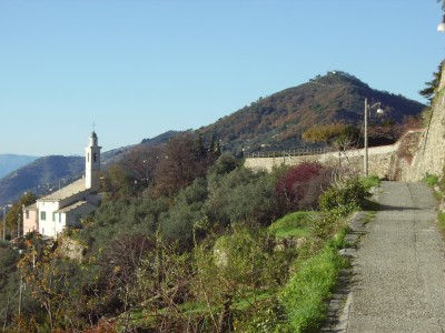 RIMG2512.JPG