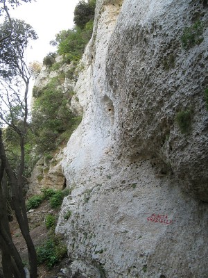 IMG_0145.jpg