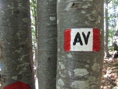 DSCF6676.JPG