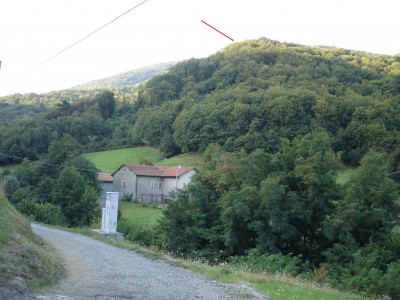 molini.jpg