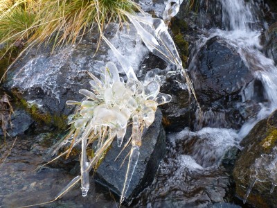 Aiona20111023-010.JPG