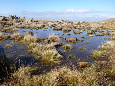 Aiona20111023-061.JPG