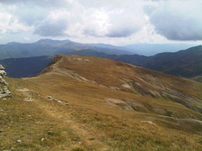 DAL CIMONCINO1120911.jpg