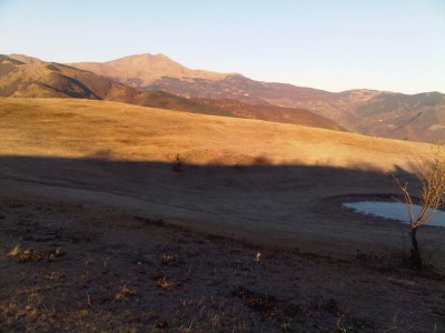 IMG04899-20111113-0757.jpg