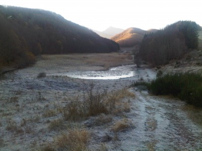 IMG04896-20111113-0751.jpg