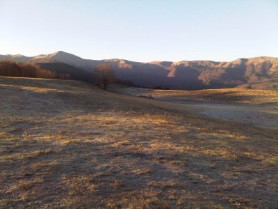IMG04898-20111113-0757.jpg