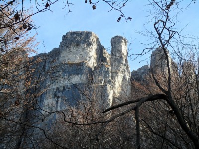 torrione fra gli alberi