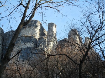 torrione fra gli alberi