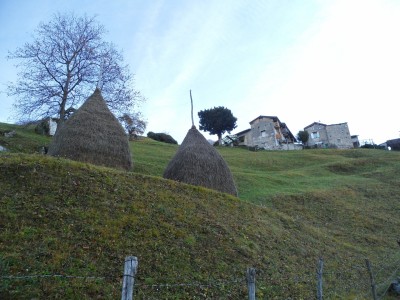 covoni in località costa