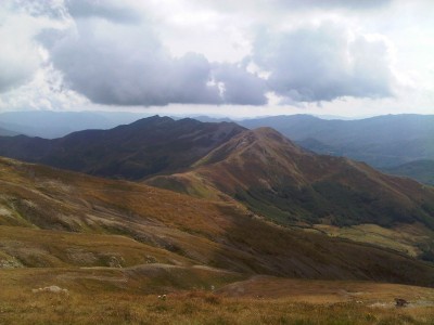 IMG04313-20110912-1401.jpg