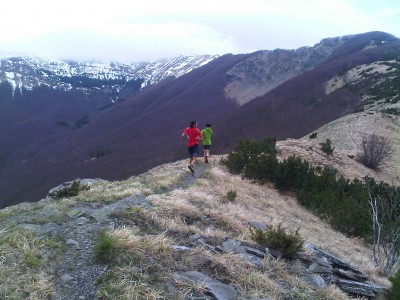 IMG06668-20120430-1014.jpg