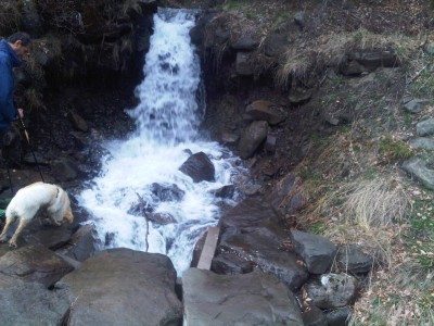 IMG06684-20120501-1209.jpg