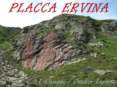 placca_ervina.jpg