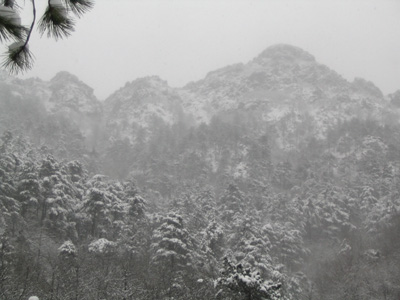 Salendo sulla Punta Martin dal rio Giazzi durante una nevicata
