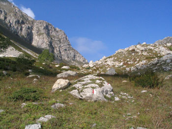 Andando verso la Colla Bassa