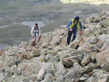 Cima della Lombarda - pietraia