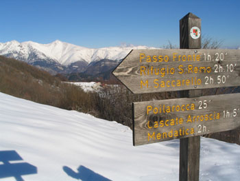 Monte Frontè - poco sopra le Case Penna