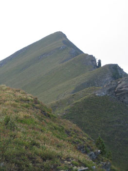 Monte Morfreid