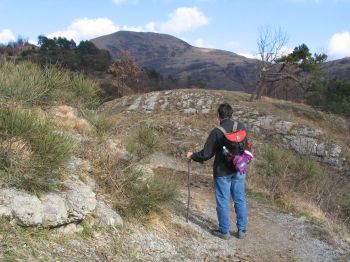 Monte Alpesisa