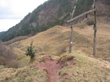 Monte Alpesisa - in prossimità del fianco del monte